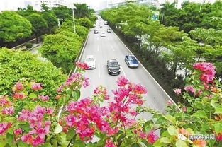 綠韻南寧 園林綠化聚力鑄造生態城市新名片