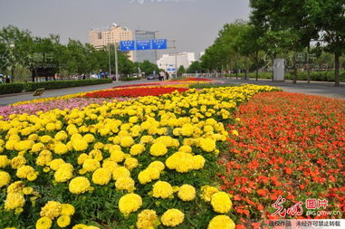 淺析園林綠化對城市生態環境的深遠影響