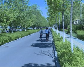 從園林綠化看城市發展變化